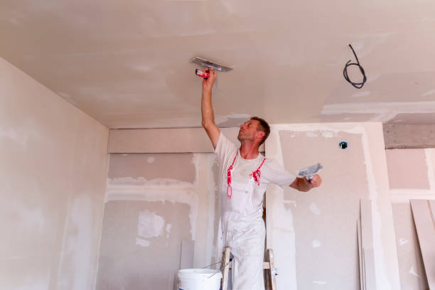 Best Drywall Sanding and Smoothing  in Palatka, FL