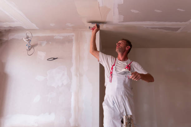 Best Ceiling Drywall Installation  in Palatka, FL