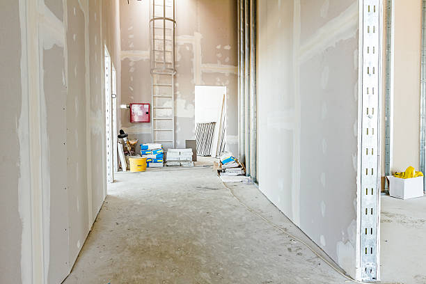 Best Drywall for Remodeling  in Palatka, FL